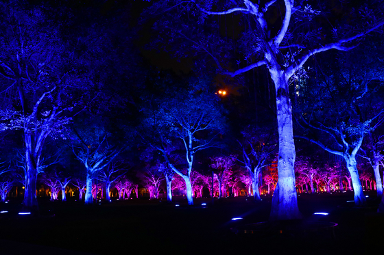 DMX512 RGBW 36W Tree LED Flood Light đèn vườn LED cho chiếu cảnh quan