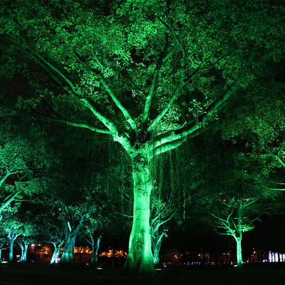 IP65 6W ngoài trời nhômin chống nước Led Spike Tree Flood Light điều chỉnh Đèn đèn chùm Đèn cảnh vườn