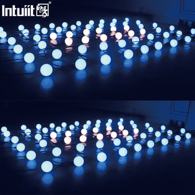 Đèn Giáng sinh Đèn đèn LED Đèn đèn LED Đèn đèn LED Đèn đèn LED Đèn đèn LED Đèn đèn LED Đèn đèn LED Đèn đèn LED
