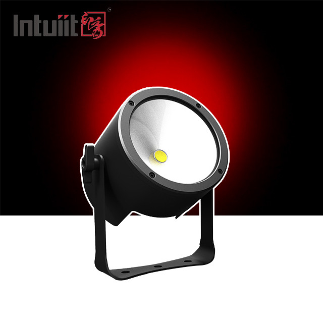Ánh sáng hiệu ứng sân khấu đám cưới trang trí 120W RGBW Led Par Light Cho Dj Disco Party