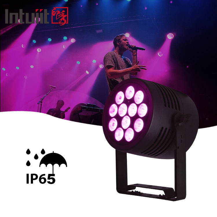 Đèn LED Par ngoài trời IP65 12x20w RGBWA-UV 6in1 cho sự kiện DJ, rửa ánh sáng DMX 512, đèn LED chống nước