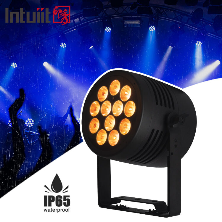 12 * 20W RGBWA + UV 6in1 LED Par Light IP65 ngoài trời chống nước DMX512 Đèn sân khấu cho đám cưới DJ Party