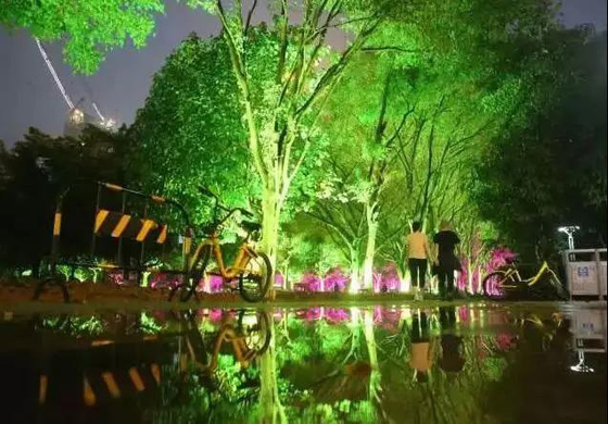 DMX512 RGBW 36W Tree LED Flood Light đèn vườn LED cho chiếu cảnh quan