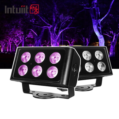 IP65 chống nước 6x5W RGBW 4 trong 1 Đèn LED DMX Control Plane Spot Light Background Stain DJ Disco Stage Lighting