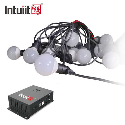 Đèn LED dây trong nhà 240V LED cây thông Noel được xây dựng trong chương trình